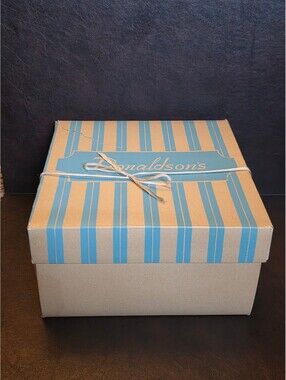 Vintage 1950s Donaldson's Minneapolis Blue Stripe Cardboard Hat Box Display